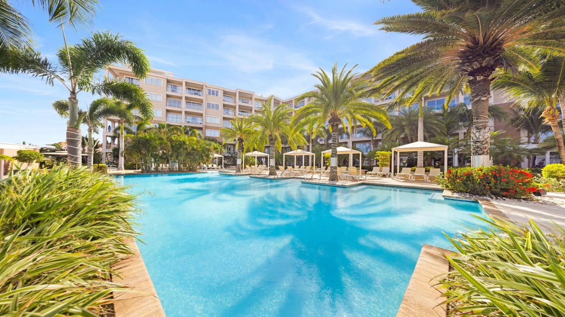 Le Vent Eagle Beach Condos By Bocobay Aruba 팜비치